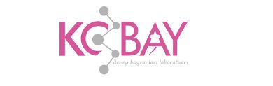 Kobay deney hayvanları,crm,satış, fatura, teklif, takip,programı